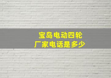 宝岛电动四轮厂家电话是多少