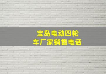 宝岛电动四轮车厂家销售电话