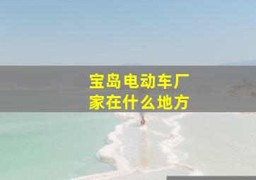 宝岛电动车厂家在什么地方