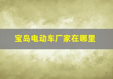 宝岛电动车厂家在哪里