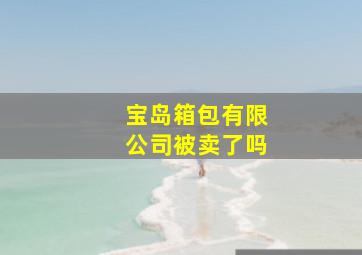 宝岛箱包有限公司被卖了吗