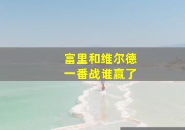 富里和维尔德一番战谁赢了