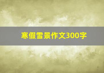 寒假雪景作文300字