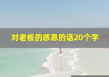 对老板的感恩的话20个字