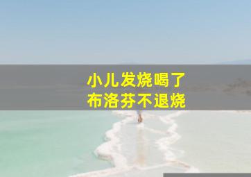 小儿发烧喝了布洛芬不退烧