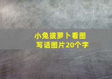 小兔拔萝卜看图写话图片20个字