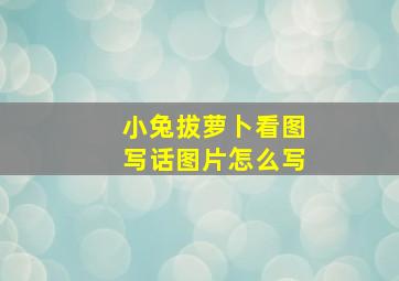 小兔拔萝卜看图写话图片怎么写