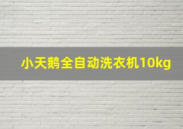 小天鹅全自动洗衣机10kg