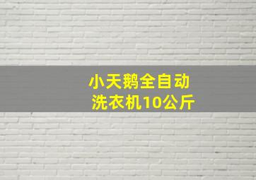 小天鹅全自动洗衣机10公斤