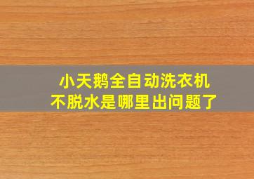 小天鹅全自动洗衣机不脱水是哪里出问题了