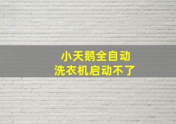 小天鹅全自动洗衣机启动不了