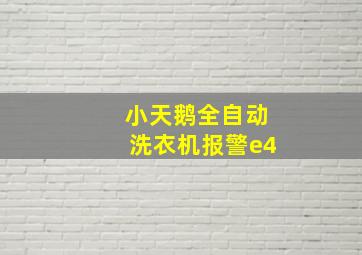 小天鹅全自动洗衣机报警e4