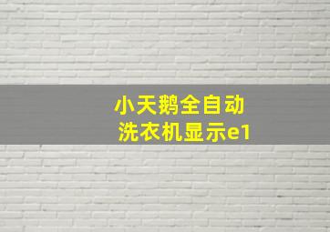 小天鹅全自动洗衣机显示e1