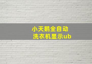 小天鹅全自动洗衣机显示ub