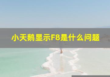 小天鹅显示F8是什么问题