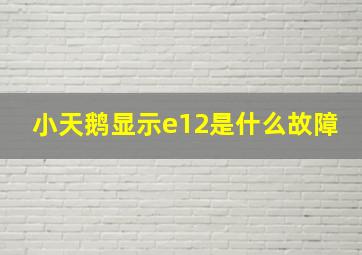 小天鹅显示e12是什么故障