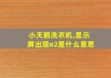 小天鹅洗衣机,显示屏出现e2是什么意思