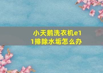 小天鹅洗衣机e11排除水垢怎么办