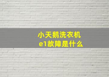 小天鹅洗衣机e1故障是什么