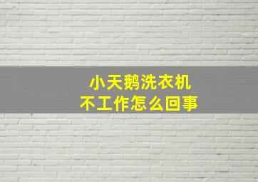 小天鹅洗衣机不工作怎么回事