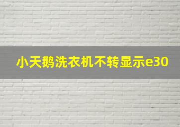 小天鹅洗衣机不转显示e30