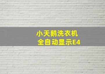 小天鹅洗衣机全自动显示E4