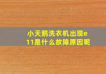 小天鹅洗衣机出现e11是什么故障原因呢