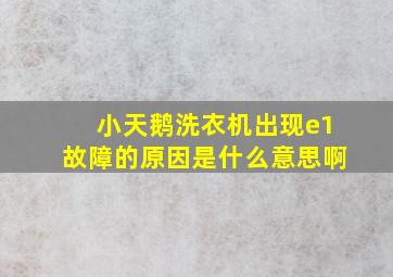 小天鹅洗衣机出现e1故障的原因是什么意思啊