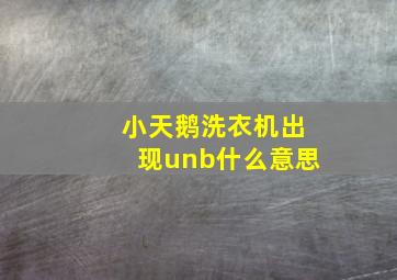 小天鹅洗衣机出现unb什么意思