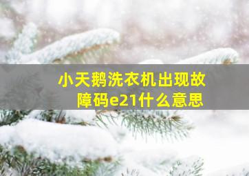 小天鹅洗衣机出现故障码e21什么意思