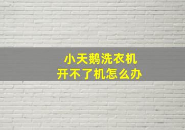 小天鹅洗衣机开不了机怎么办