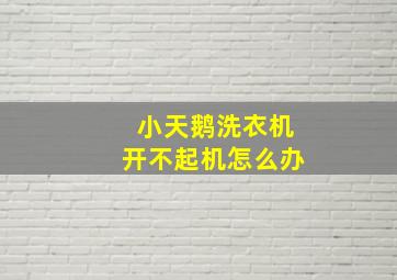 小天鹅洗衣机开不起机怎么办