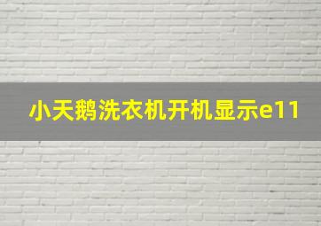 小天鹅洗衣机开机显示e11