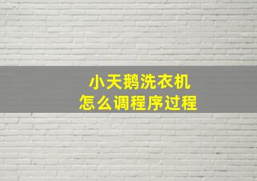 小天鹅洗衣机怎么调程序过程