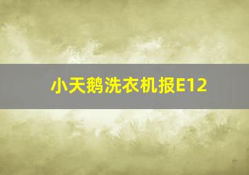 小天鹅洗衣机报E12