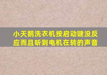 小天鹅洗衣机按启动键没反应而且听到电机在转的声音