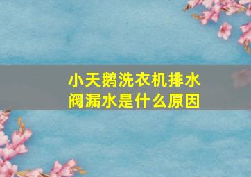 小天鹅洗衣机排水阀漏水是什么原因