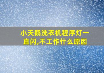 小天鹅洗衣机程序灯一直闪,不工作什么原因