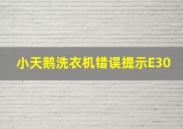 小天鹅洗衣机错误提示E30