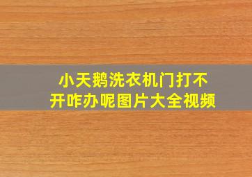 小天鹅洗衣机门打不开咋办呢图片大全视频