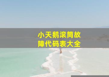 小天鹅滚筒故障代码表大全