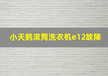 小天鹅滚筒洗衣机e12故障