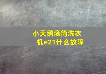 小天鹅滚筒洗衣机e21什么故障