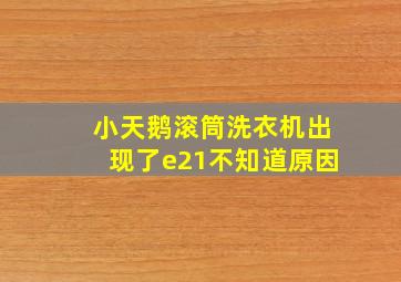 小天鹅滚筒洗衣机出现了e21不知道原因