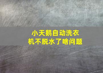 小天鹅自动洗衣机不脱水了啥问题