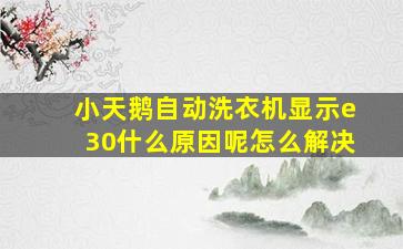 小天鹅自动洗衣机显示e30什么原因呢怎么解决