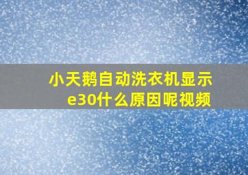 小天鹅自动洗衣机显示e30什么原因呢视频