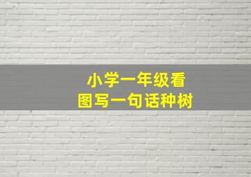 小学一年级看图写一句话种树