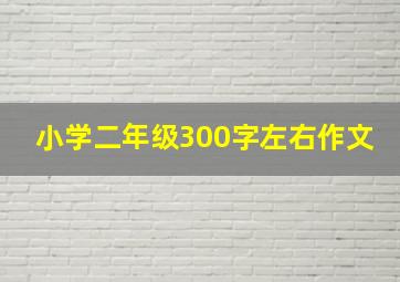 小学二年级300字左右作文