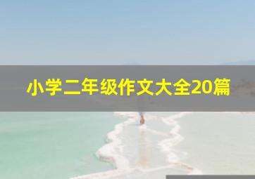 小学二年级作文大全20篇